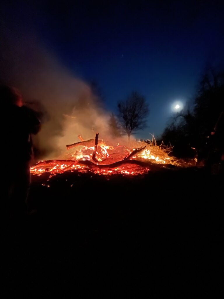 Einsatz Nr. 01/22 2